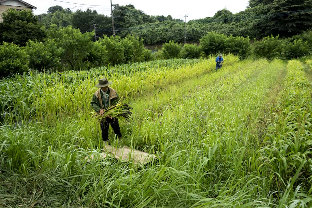 環境回復を目指す取り組み